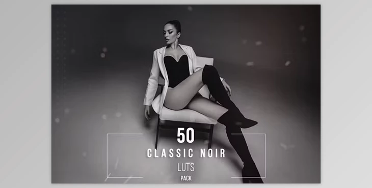 50 Classic Noir LUT Collection - 281823314