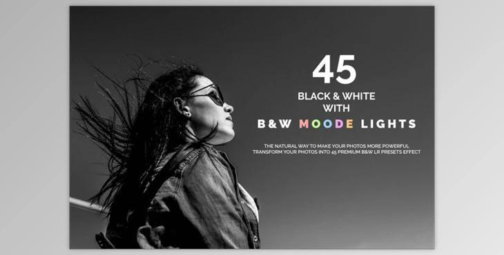 45 B&W & B&W Moody Lights LR Presets By Creative Creator