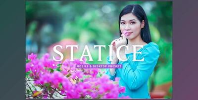 Statice Pro Lightroom Presets CreativeMarket - 7387228