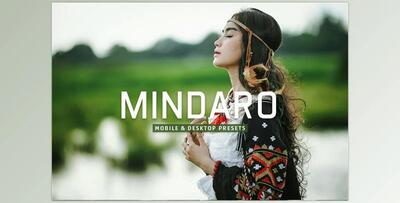 Mindaro Pro Lightroom Presets CreativeMarket - 7389020