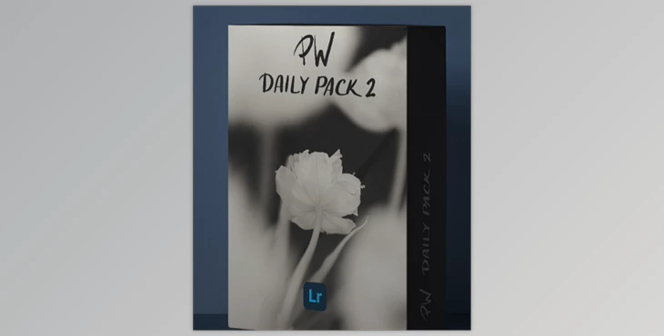 Polina Washington – PW DAILY PACK 2 – Lightroom Presets