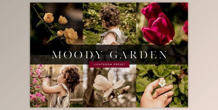 Moody Garden Lightroom Preset By Phillip St. Design Studio