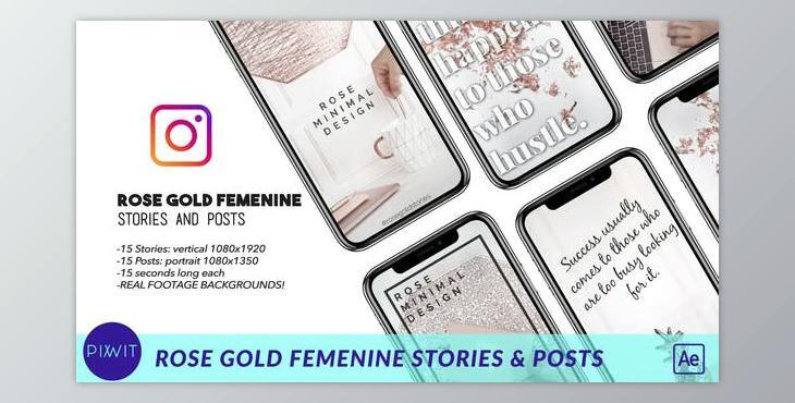 Rose Gold Feminine Stories and Posts (Videohive 41498144) - AE Project