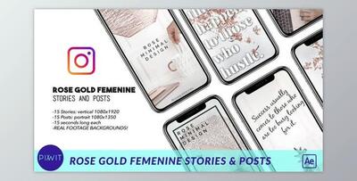 Rose Gold Feminine Stories and Posts (Videohive 41498144) - AE Project