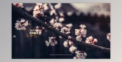 Clean Modern Slides 3 (Videohive 36643346) - AE Project