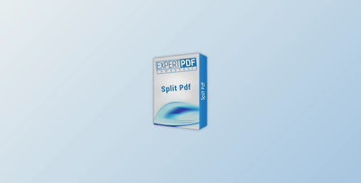 ExpertPdf Pdf Split v6.0.0 + License Key