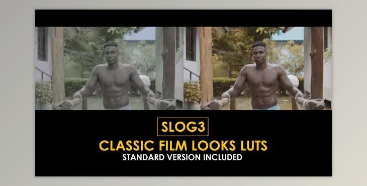 Slog3 Classic Film Looks and Standard Color LUTs (Videohive 51047580)