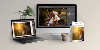 LSP – Bokeh Light Dust & Particle Brush Set For Photoshop