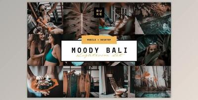 MOODY BALI TRAVEL LIGHTROOM PRESETS (Mob, Desk)