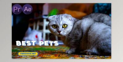 Pets Slideshow (Videohive 31777992)