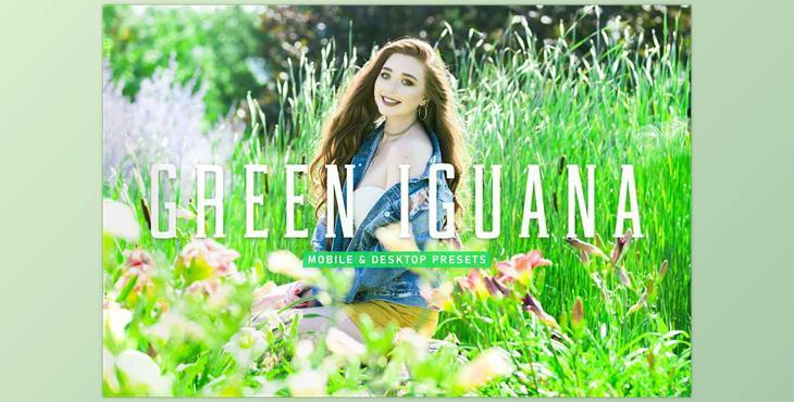 Green Lguana Pro Lightroom Presets CreativeMarket - 6923960