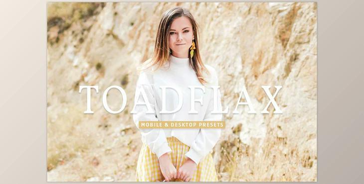 Toadflax Pro Lightroom Presets CreativeMarket - 7193794