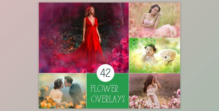 42 Painted Flowers Photo Overlays