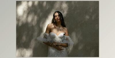 Meridian Presets – Essence Presets