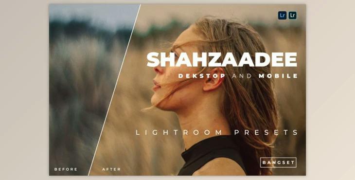 Shahzaadee Desktop and Mobile Lightroom Preset by Bangset