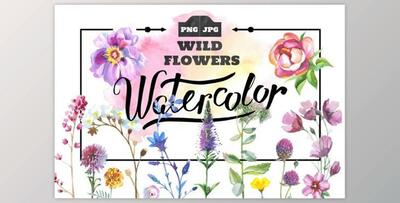 Wild Flowers watercolor PNG set By WatercolorPNG.com (PNG, JPG)