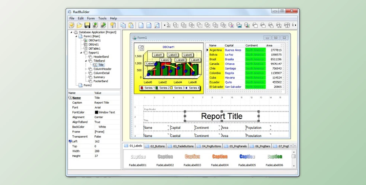Longtion RadBuilder v4.9.0.490 + Portable Edition + Keygen