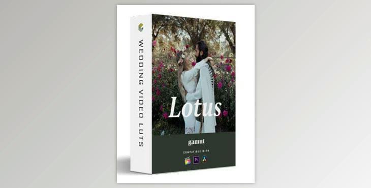 Gamut - Lotus Lut Pack