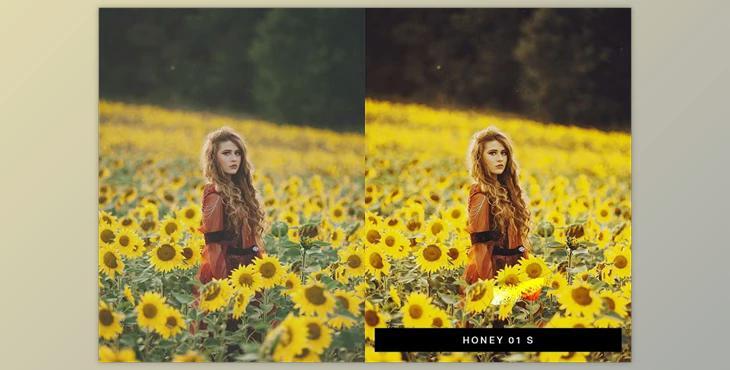 50 Moody Lightroom Presets and LUTs