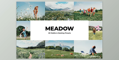 20 Meadow Lightroom Presets GraphicRiver - 35530813