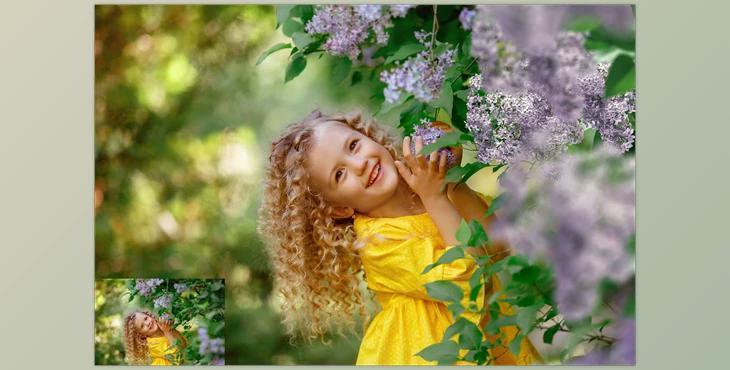 30 Lilac Photo Overlays