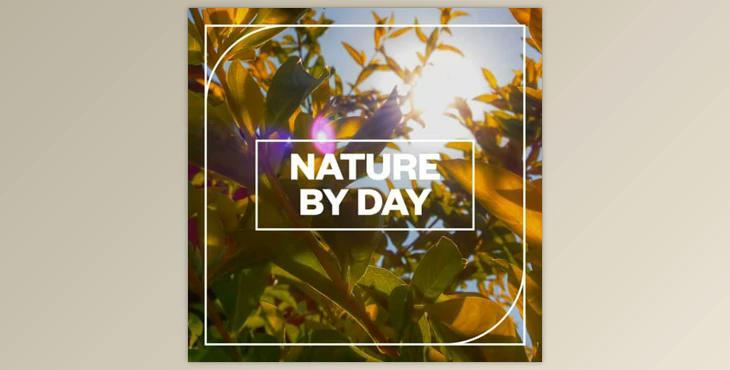 Blastwave FX Nature by Day WAV-FANTASTiC