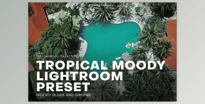 Tropical Moody Lightroom Preset (DNG, LRTEMPLATE, PNG)