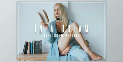 In A Dream - Lifestyle LR Presets By JoshPatil