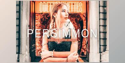 Persimmon Pro Lightroom Presets CreativeMarket - 7382511