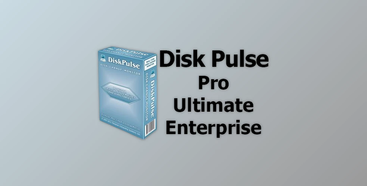 Disk Pulse Pro / Ultimate / Enterprise v15.8.24 + Activator