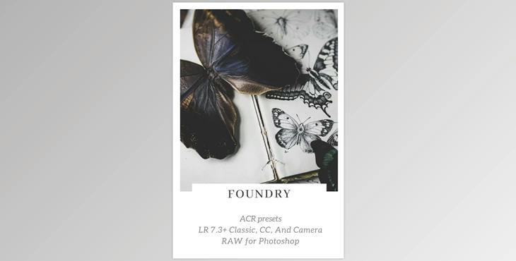 2 Lil Owls: Foundry LR presets