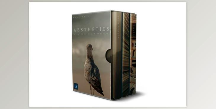 Sellfy – Aesthetics Color Profile Pack (XMP)