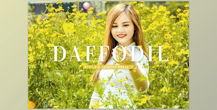 Daffodil Pro Lightroom Presets CreativeMarket - 6929650