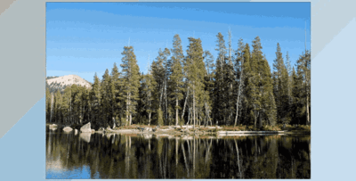 VSCO Labs Infrared (XMP)