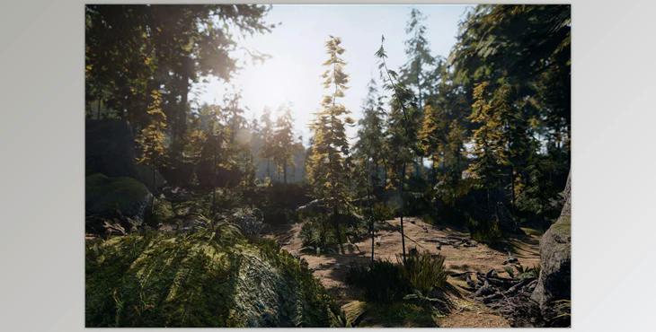 Unity Asset - C.V.P - Pine Woods v3.0