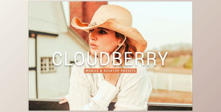 Cloudberry Pro Lightroom Presets CreativeMarket - 7469782