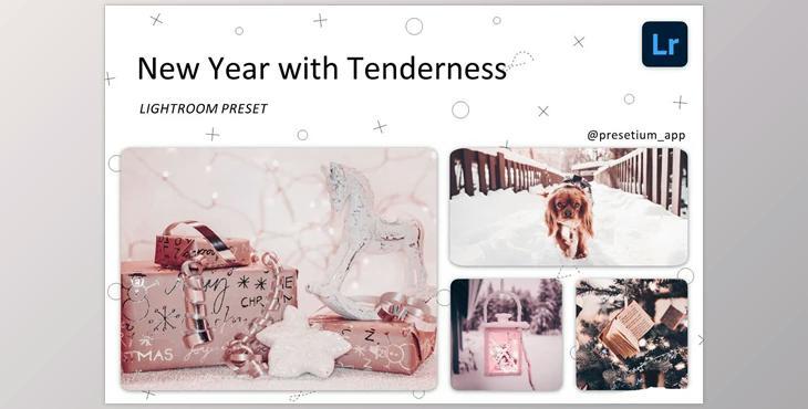 New Year – Lightroom Presets CreativeMarket-5219599 DNG