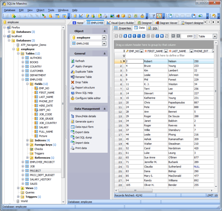 SQLite Maestro Professional 21.5.0.5