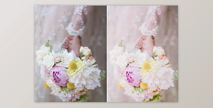 Rebecca Lily Pro Presets I-III