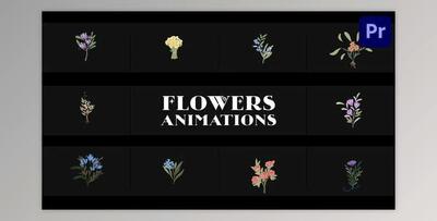 Flowers Falling Into Petals Animations for Premiere Pro (Videohive 52155619)