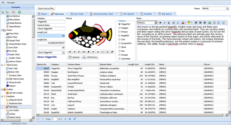 FMSoft UniGUI Professional Edition v1.90.0.1567
