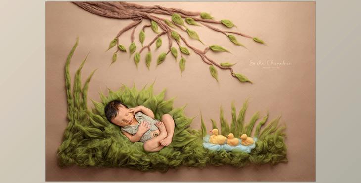 Sasha Chomakov – Newborn Digital Backdrop – Ducks