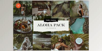 Aloha – 8 Lightroom Presets Pack CreativeMarket-5033754 (Mobile, Desk)