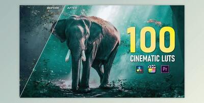 100 Cinematic LUTs Color Grading (Videohive 35390122) - PR Project