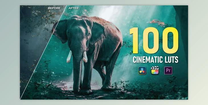 100 Cinematic LUTs Color Grading (Videohive 35390122) - PR Project