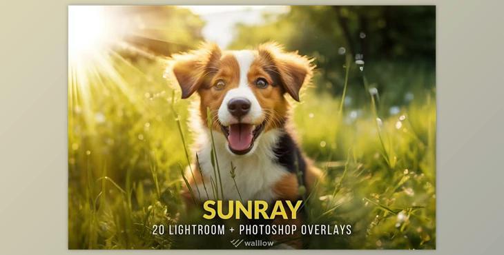 Creativemarket – Realistic sunlight overlays PNG and JPG