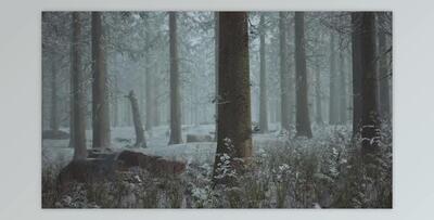 Winter Pine Forest with Fog in the Background (Videohive 47581362)