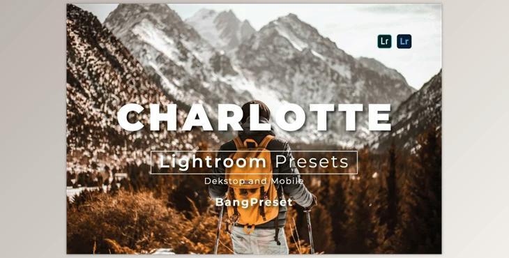 Filtergrade – Charlotte Desktop and Mobile Lightroom Preset (XMP, DNG)