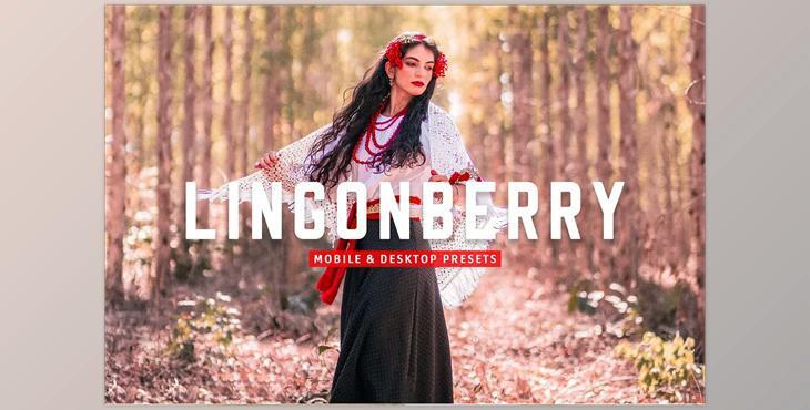 Lingonberry Pro Lightroom Presets CreativeMarket - 7403893