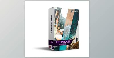 Artist Found LUT Package – Creativemarket 1347122